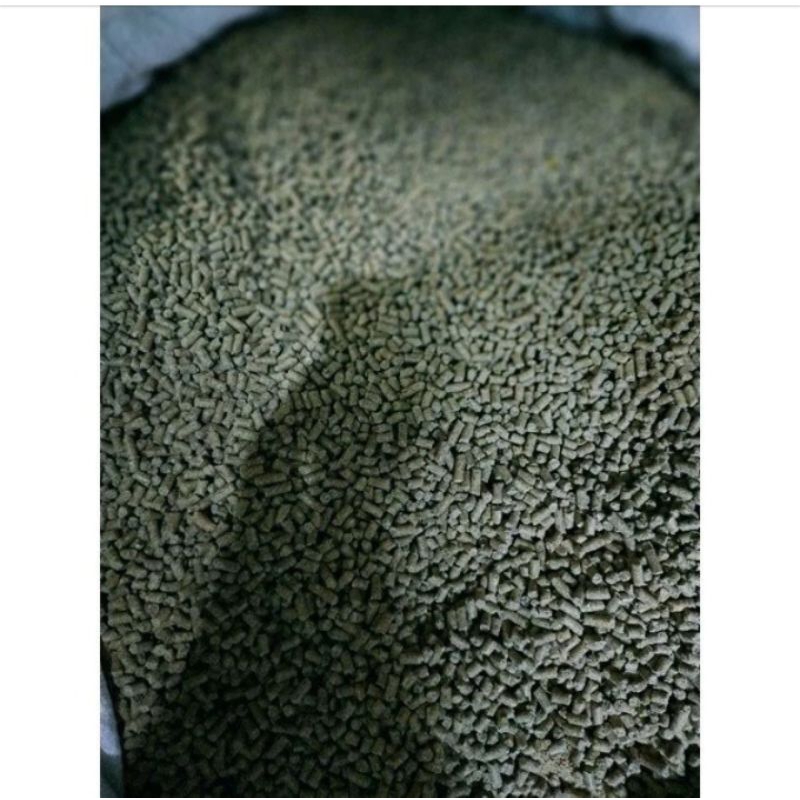 Pur Burung Pur Hijau Kiloan Voer 521 10kiloan