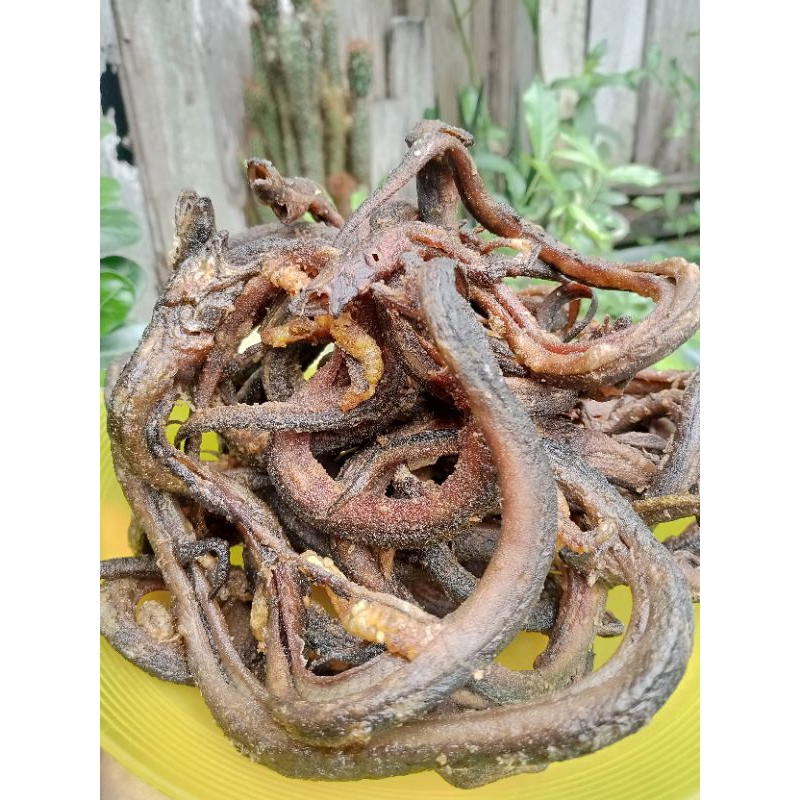 

Belut Goreng Basah Tanpa Tepung Fresh Bahan Aneka Masakan Belut 100g