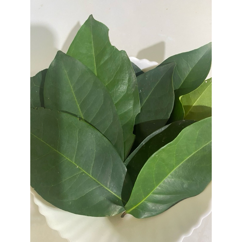 

Daun Salam 20 Lembar/ Penyedap Masakan