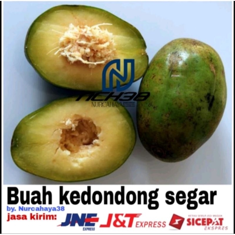 

BUAH KEDONGDONG JUMBO