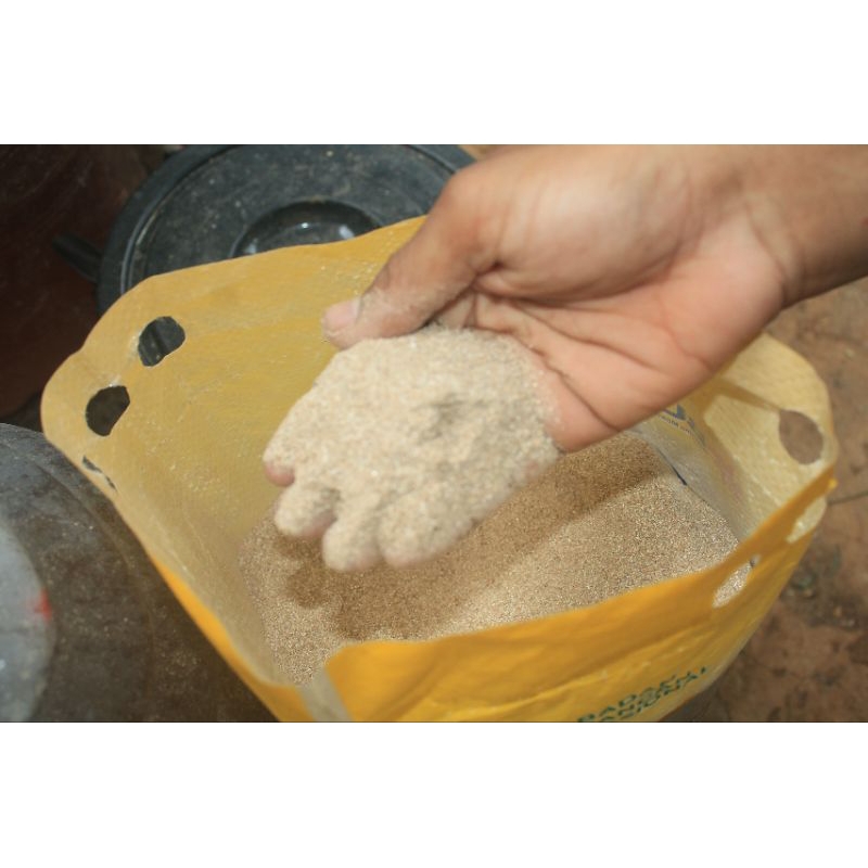 

tepung cangkang rajungan(halus)