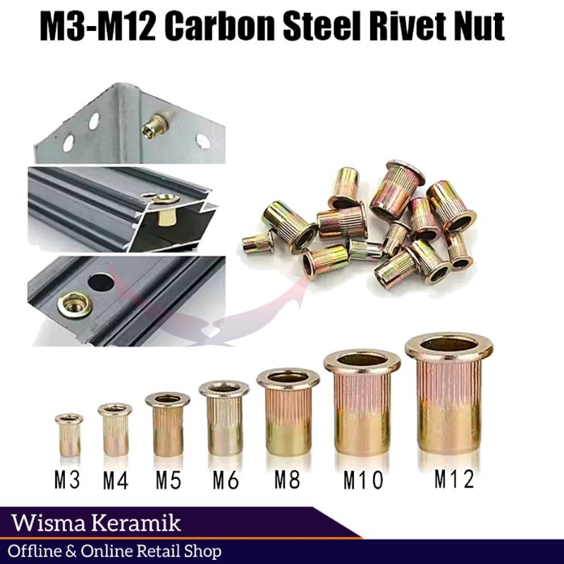 Rivet Nut, mur rivet, insert nut M3 M4 M5 M6 M8 M10 M12 satuan