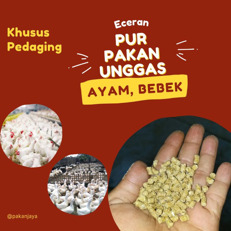 Pur Pelet Penggemukan / pedaging ( Ayam, Bebek )