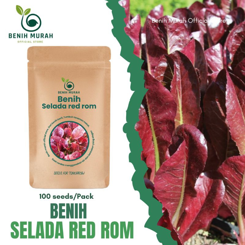 

Bibit Selada Red Romaine / Benih Kualitas Unggul / Benih Selada Ref romani Pilihan Terbaik