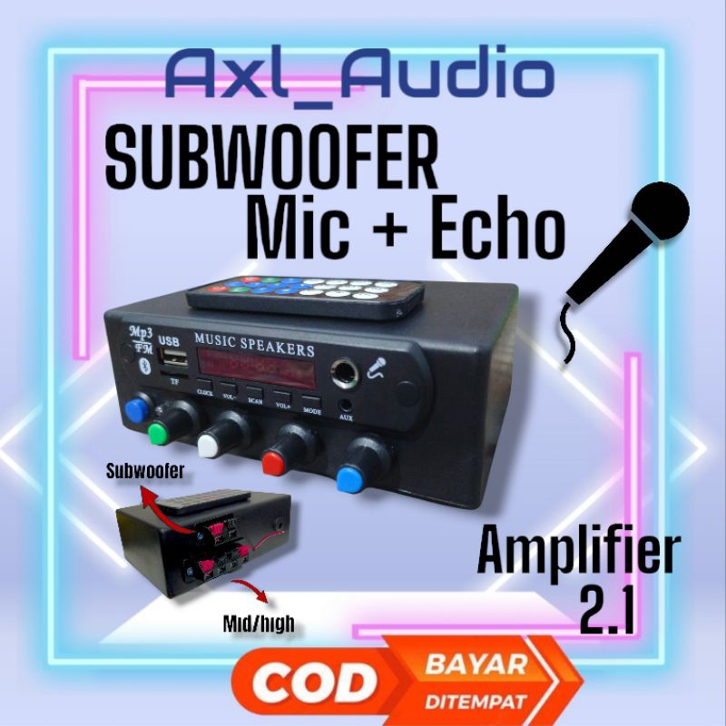 power ampli mini subwoofer mic echo bluetooth