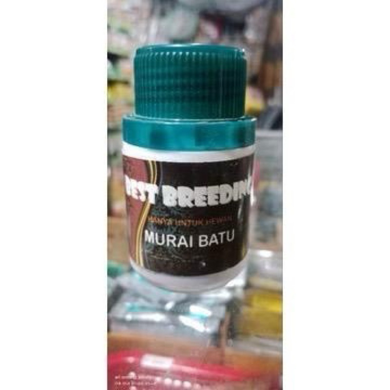 Best Breeding Murai Batu - Meningkatkan Stamina Burung Anakan Bakalan dan Indukan