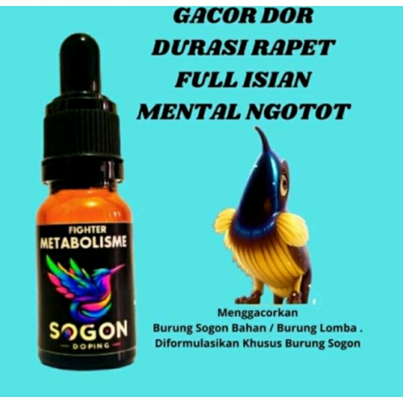 METABOLISME FIGHTER DOPING SOGON DOSIS TINGGI METABOLISME BURUNG ORIGINAL