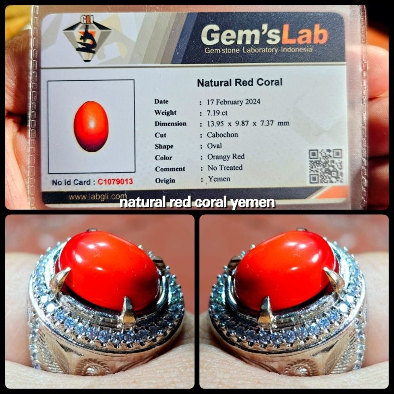 BATU MARJAN MERAH SUPER ASLI LAUT MERAH YEMEN