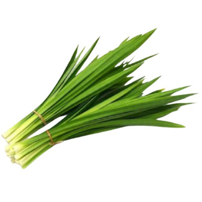 

Daun pandan wangi segar per ikat 500 gram dipetik saat ada pesanan masuk
