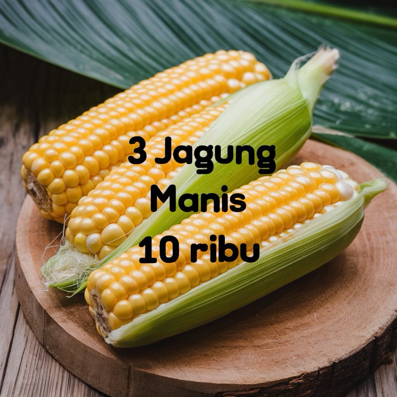 

[Hemat] Jagung Manis Fresh Langsung dari Petani