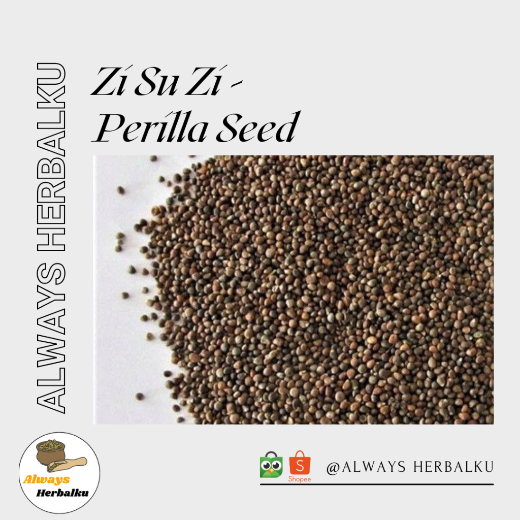 

Zi su zi / purple perilla / shiso / Perilla frutescens (100gr)