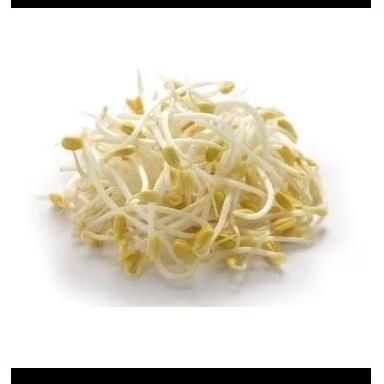 

Toge Tauge Fresh Segar