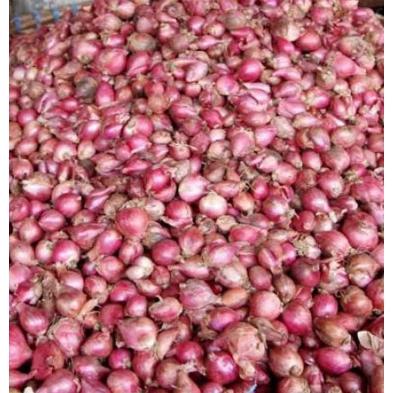 

bawang merah asli nganjuk