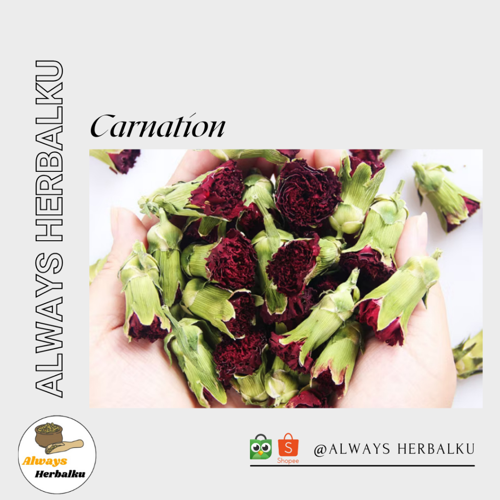 

Carnation tea / anyelir merah / Dianthus caryophyllus (500gr)
