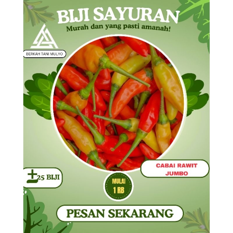 25 biji- Benih Cabai Rawit JUMBO F1- bibit sayuran benih sayuran-cabai merunduk cabai merah
