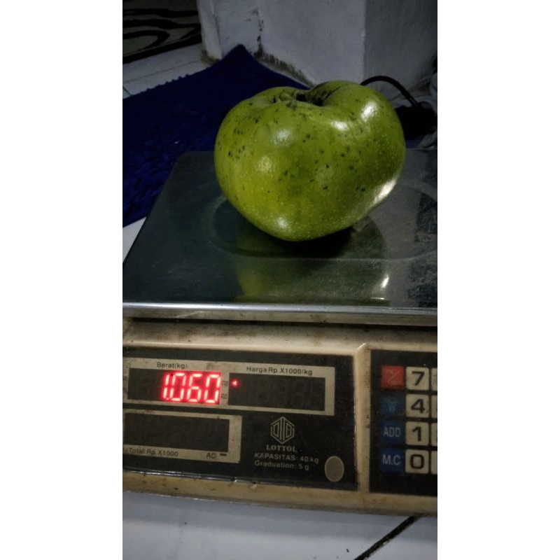 

Black Sapote