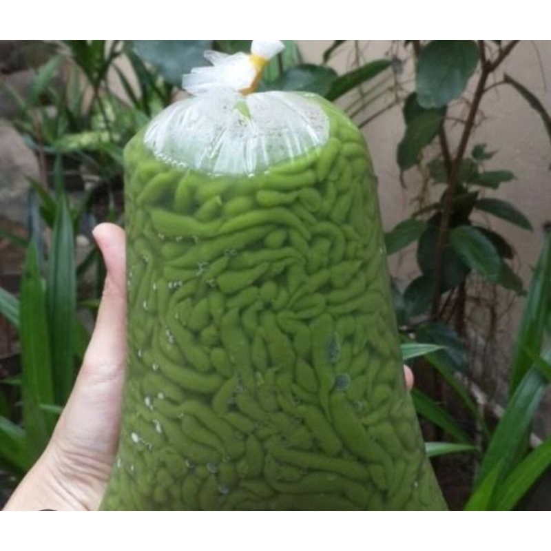 

Cendol Pandan - Dawet