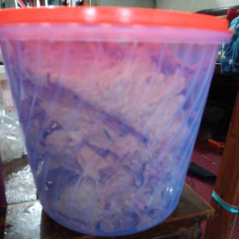 

peyek kacang rebon 5L