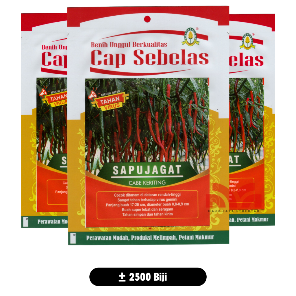 Benih Cabe Keriting Sapujagat Tahan Virus Tidak Mudah Keriting