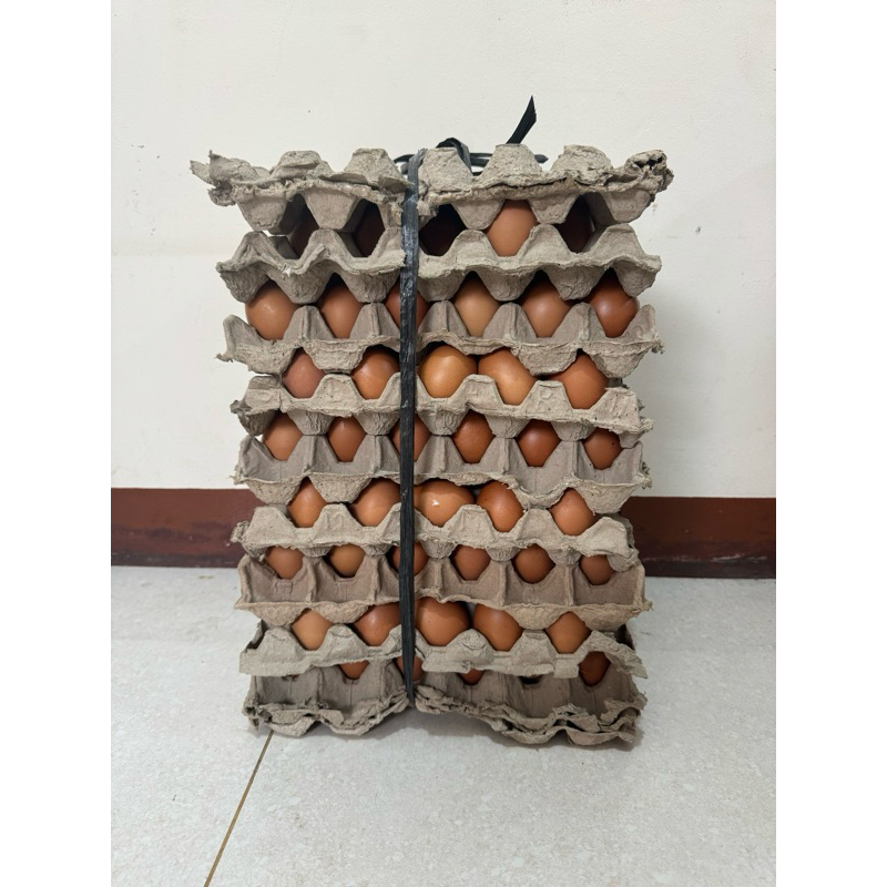 

Telur Ayam Negri / Telur Ayam Negeri 15 kg (1 ikat)