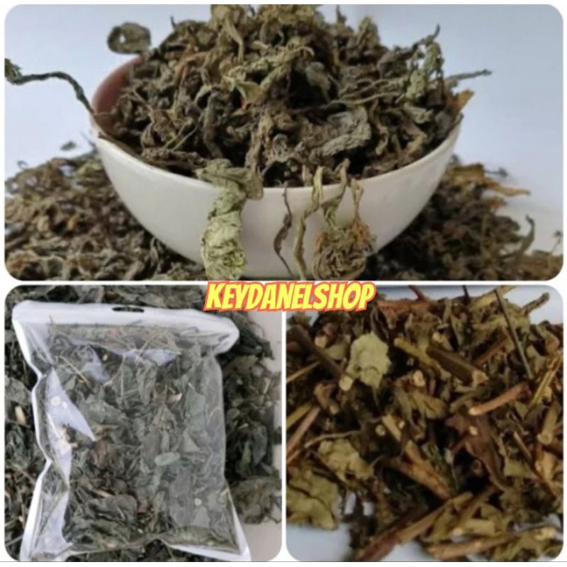 

Paket komplit kering kumis kucing/keji beling/tempuyung