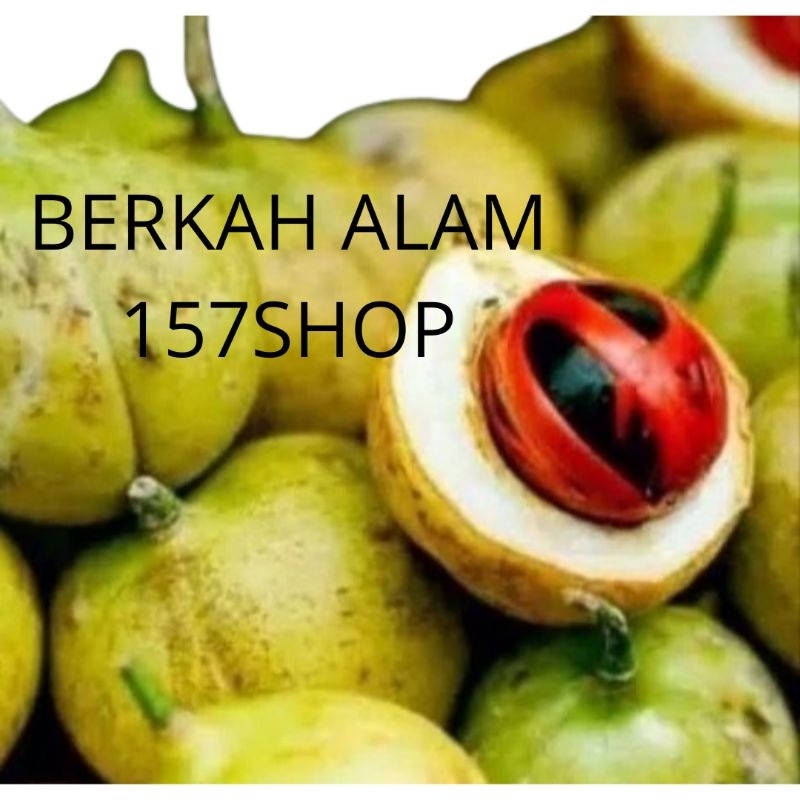 

Buah pala tua segar 1kg - buah pala mentah 1kg