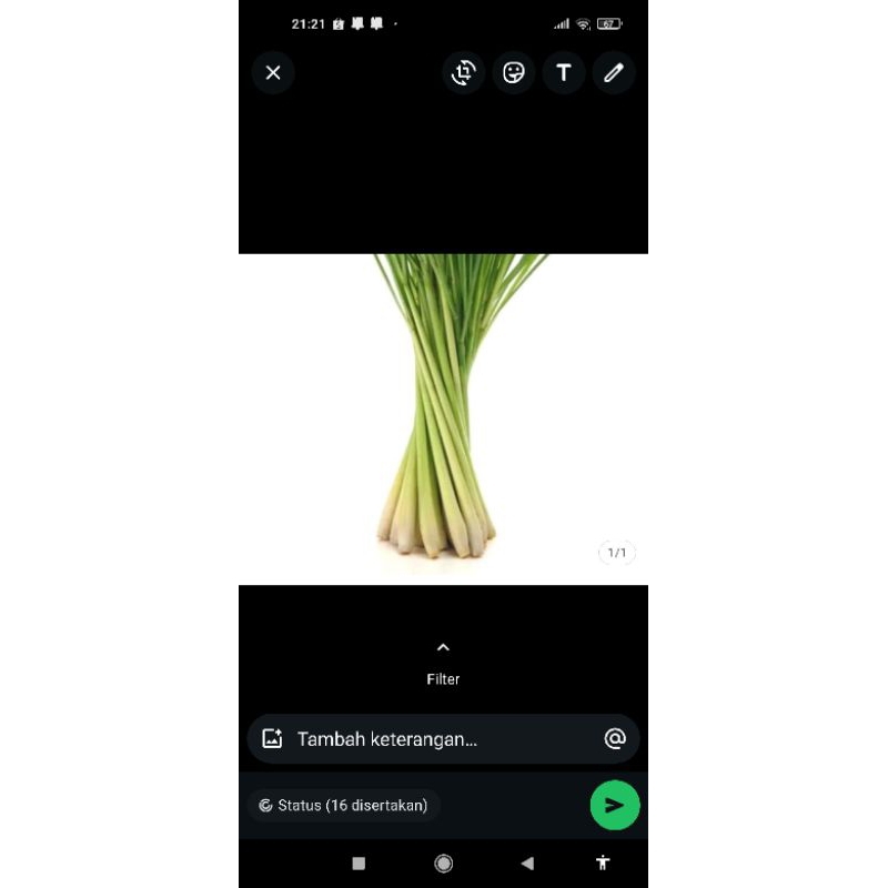 

sereh / serai