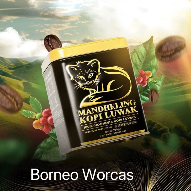 

kopi luwak Worcas Tin can mandheling 100% Indonesia coffee 印尼猫屎咖啡铁皮管