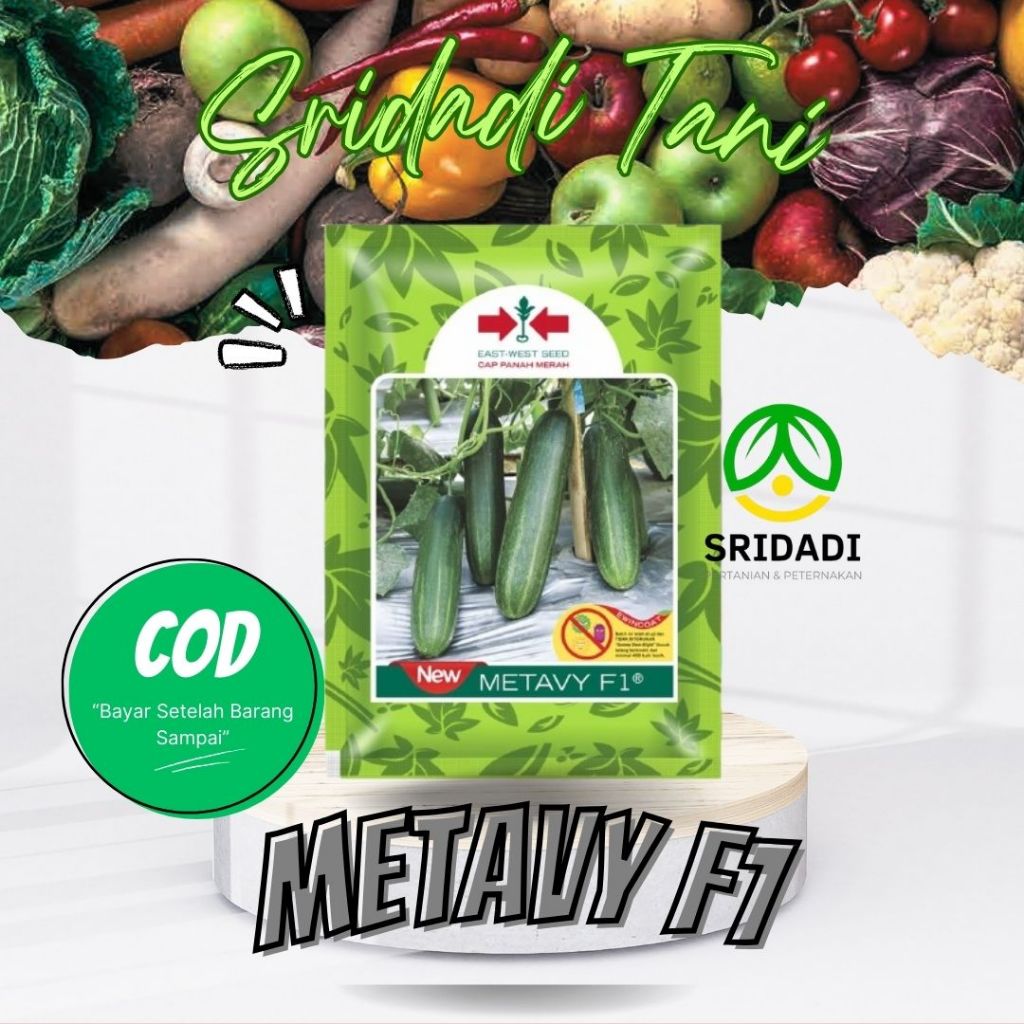 BENIH TIMUN METAVY F1