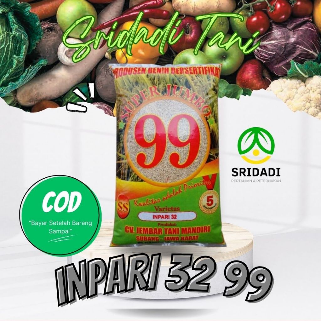 BIBIT PADI INPARI 32 SUPER JUMBO