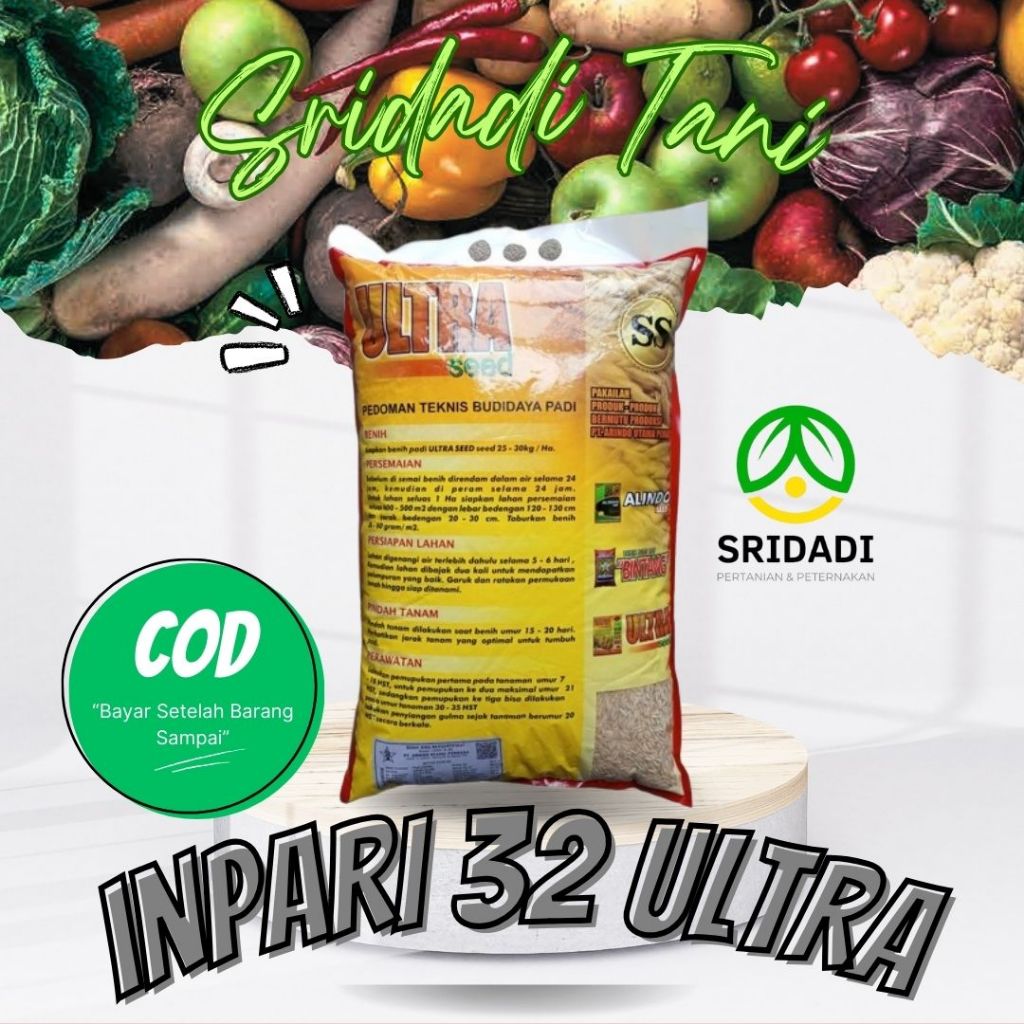 BENIH BIBIT PADI INPARI 32 ULTRA CIHERANG