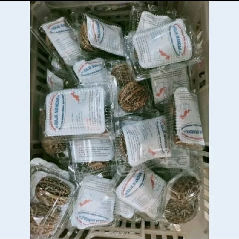 buah ulur ulur raja mandak obat tradisional kalimantan