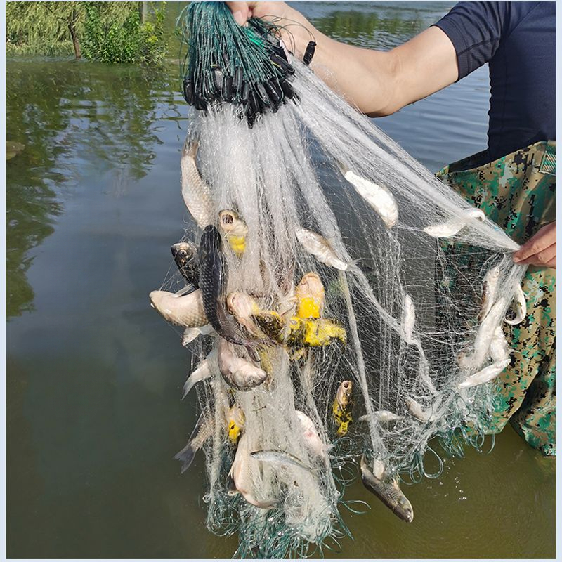 Jaring ikan, jaring lengket, jaring tenggelam, jaring apung, jaring ikan