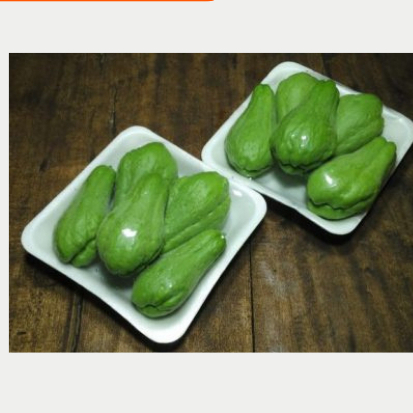 

Baby labu siam 1pack