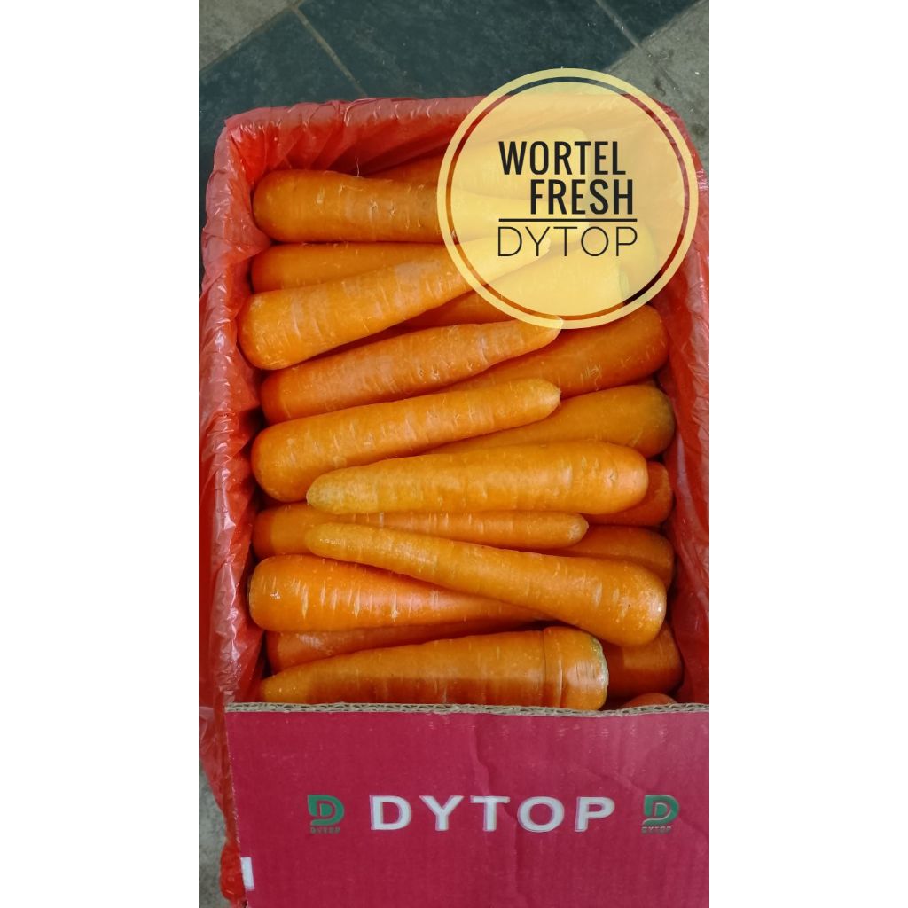 

Wortel Berastagi Wortel Kualitas Premium Wortel Import - Dus Isi 10 Kg