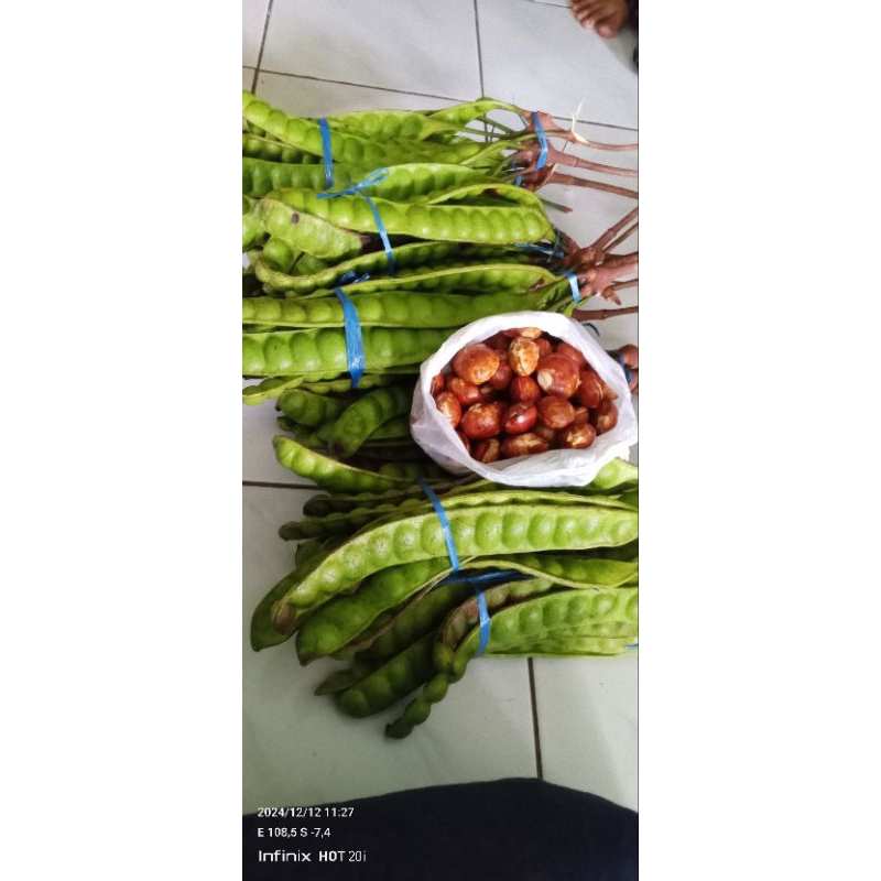 

petai Pete per papan berkualitas