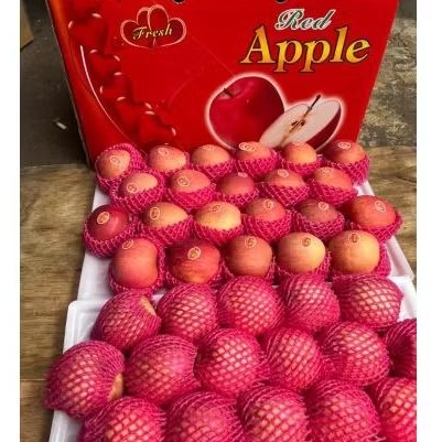 

Buah Apel Fuji Sz88 Red Cartoon Jual Per 1 Dus Karton