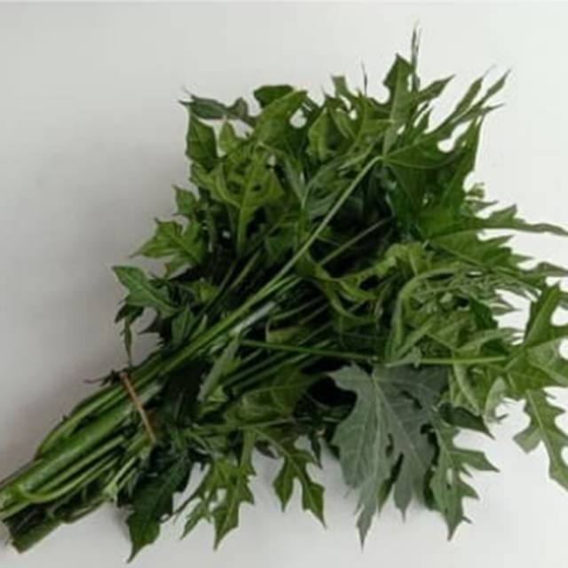 

Daun Pepaya Jepang 1 kg