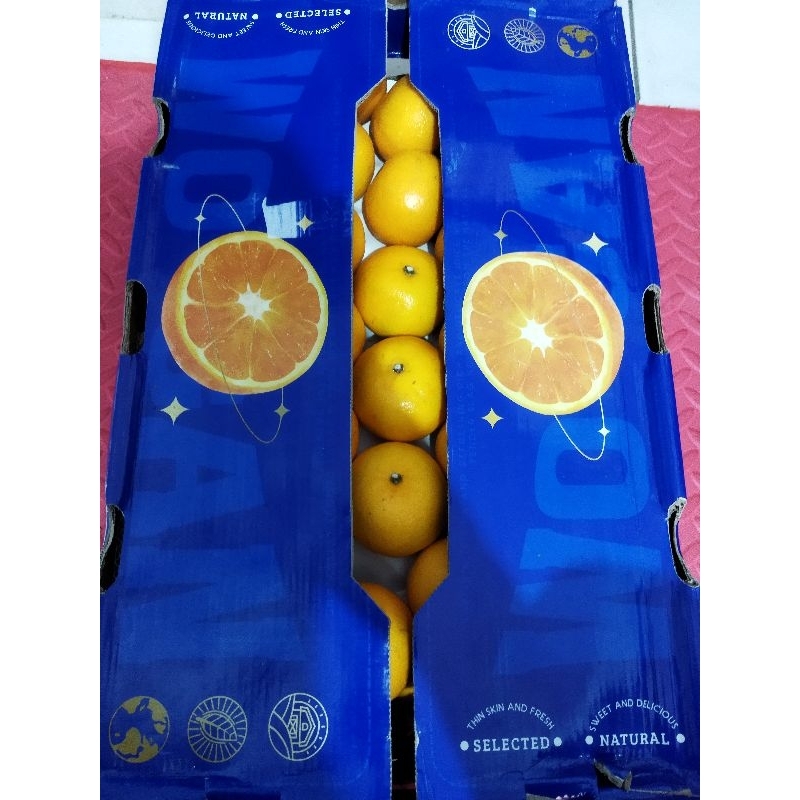 

JERUK WOKAM MANDARIN 9kg/box