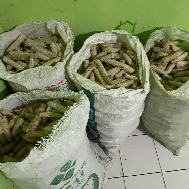 

bonggol jagung,batang jagung,per 1kg