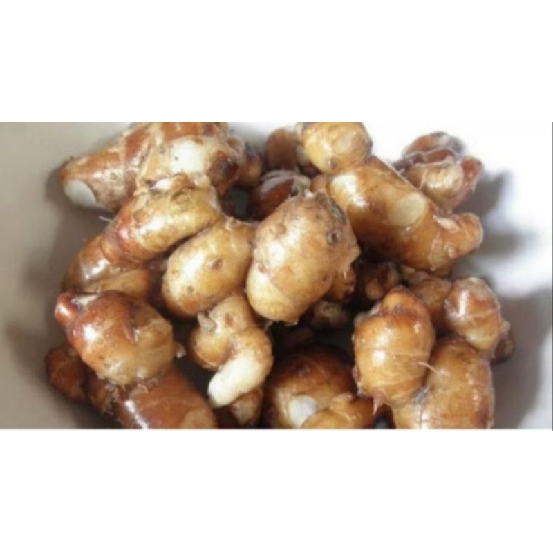 

cikur variasi banyak