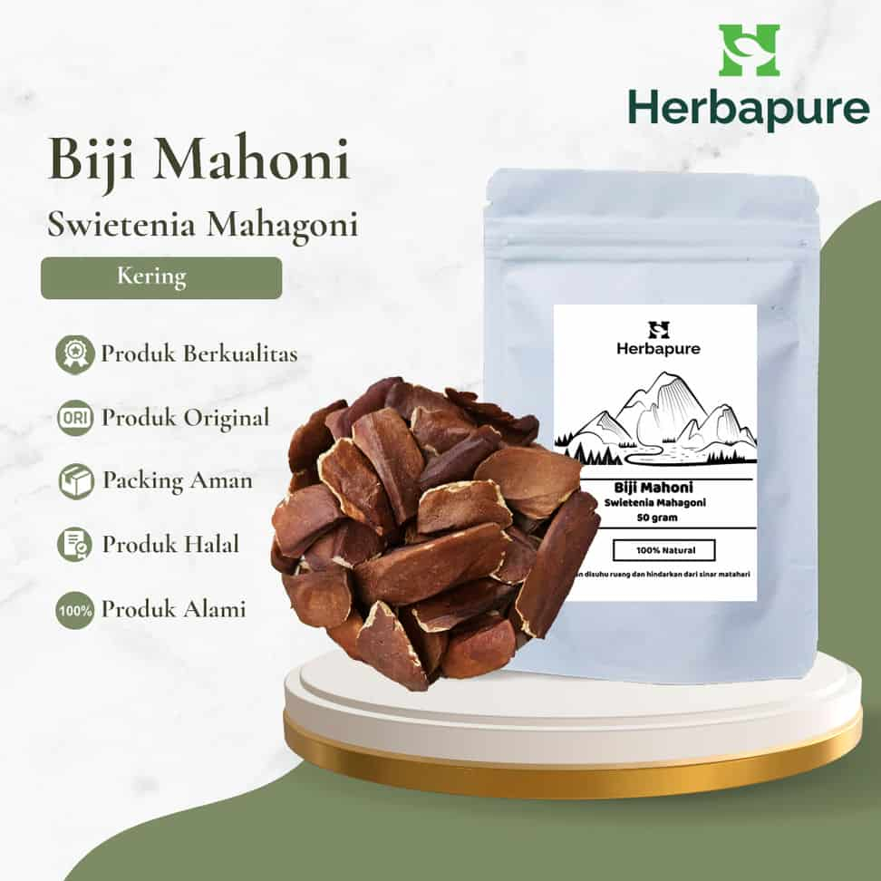 

Herbapure- Rempah Biji Mahoni Kering Mengontrol Kadar Gula Darah
