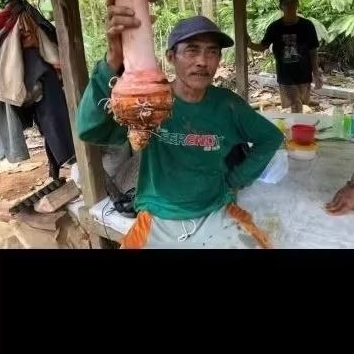 UmbiTalasPratama2Berlian