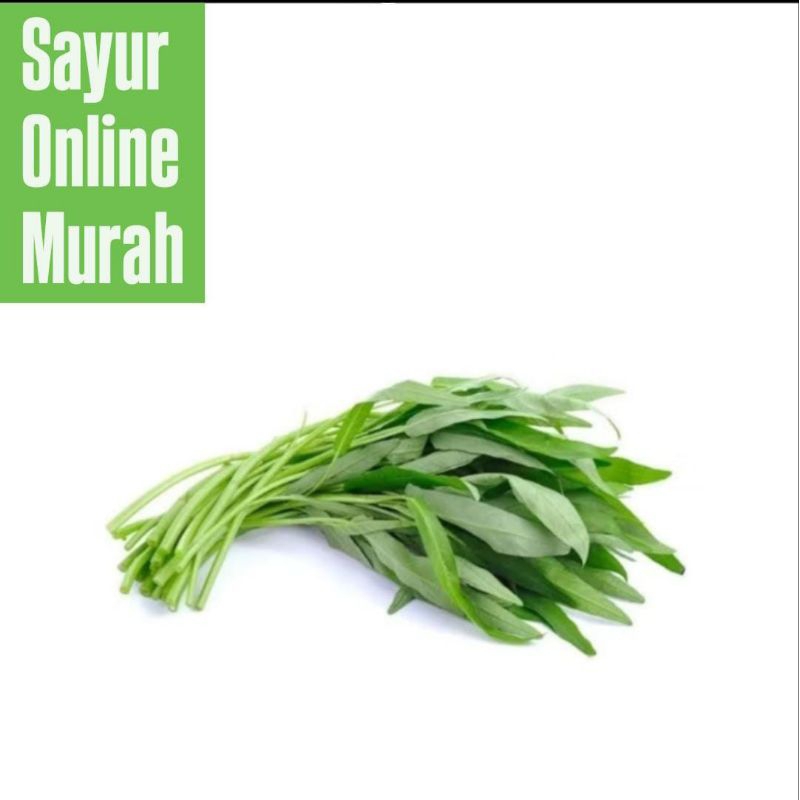 

Sayur Kangkung 1 Ikat Fresh Surabaya