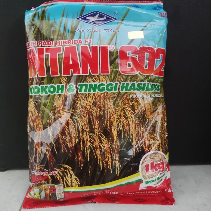 Benih padi intani 602 sridewi - 1 kg
