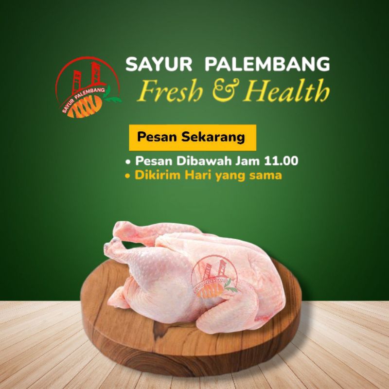 

Ayam Negeri Utuh (1Ekor) 1,5Kg sampai 1,8Kg - Sayur Palembang