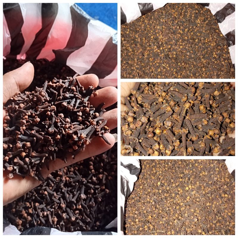 

100gr cengkeh kering terbaik