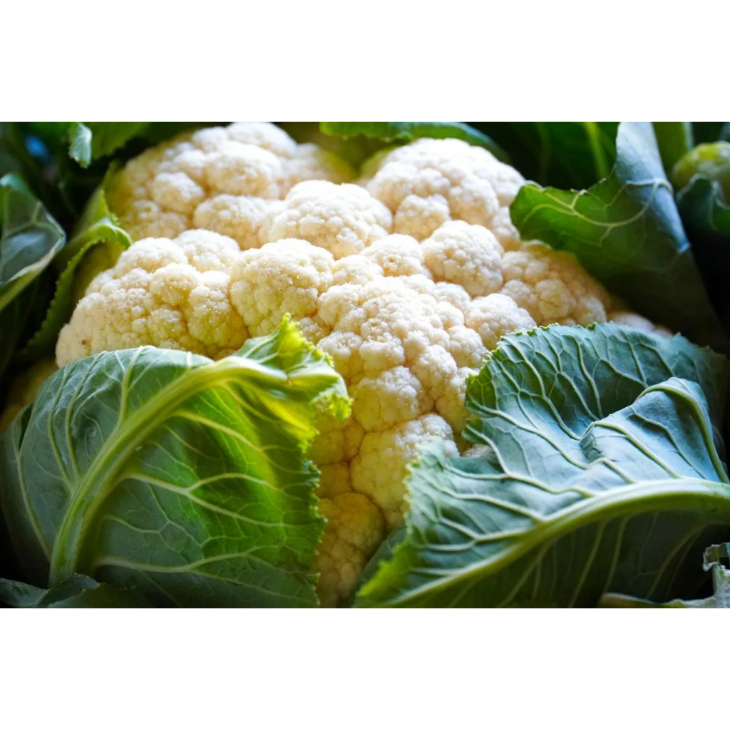

Kembang Kol Sayur Segar