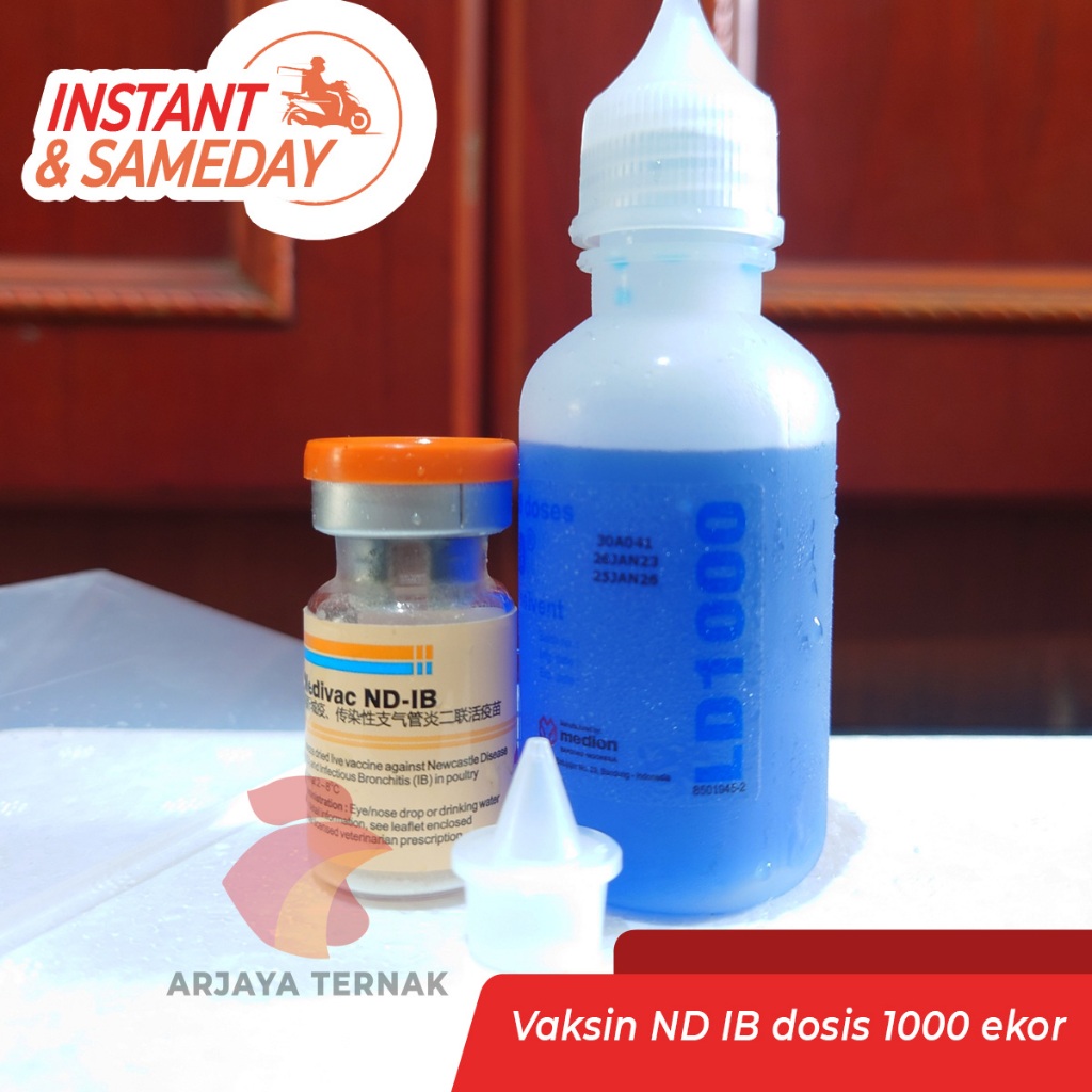 MEDIVAC ND IB Dosis 1000 ekor Pelarut biru MEDION Vaksin Ayam Tetelo dan Infeksius Bronkitis Newcast