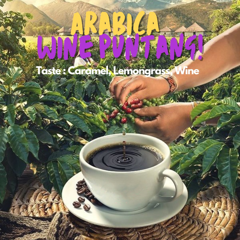 

ARABICA WINE PUNTANG PREMIUM 100GR
